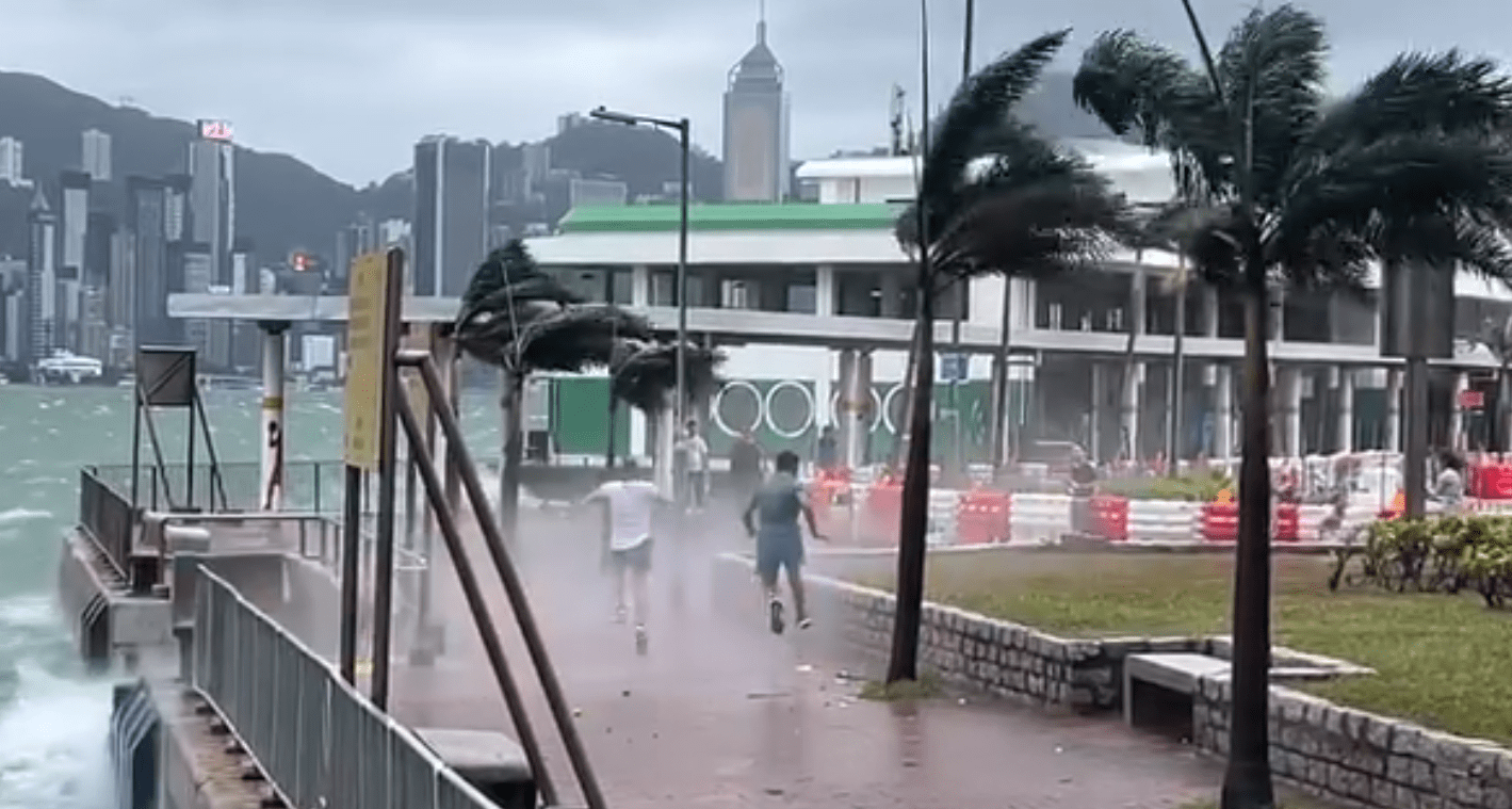 香港8号风球图片图片