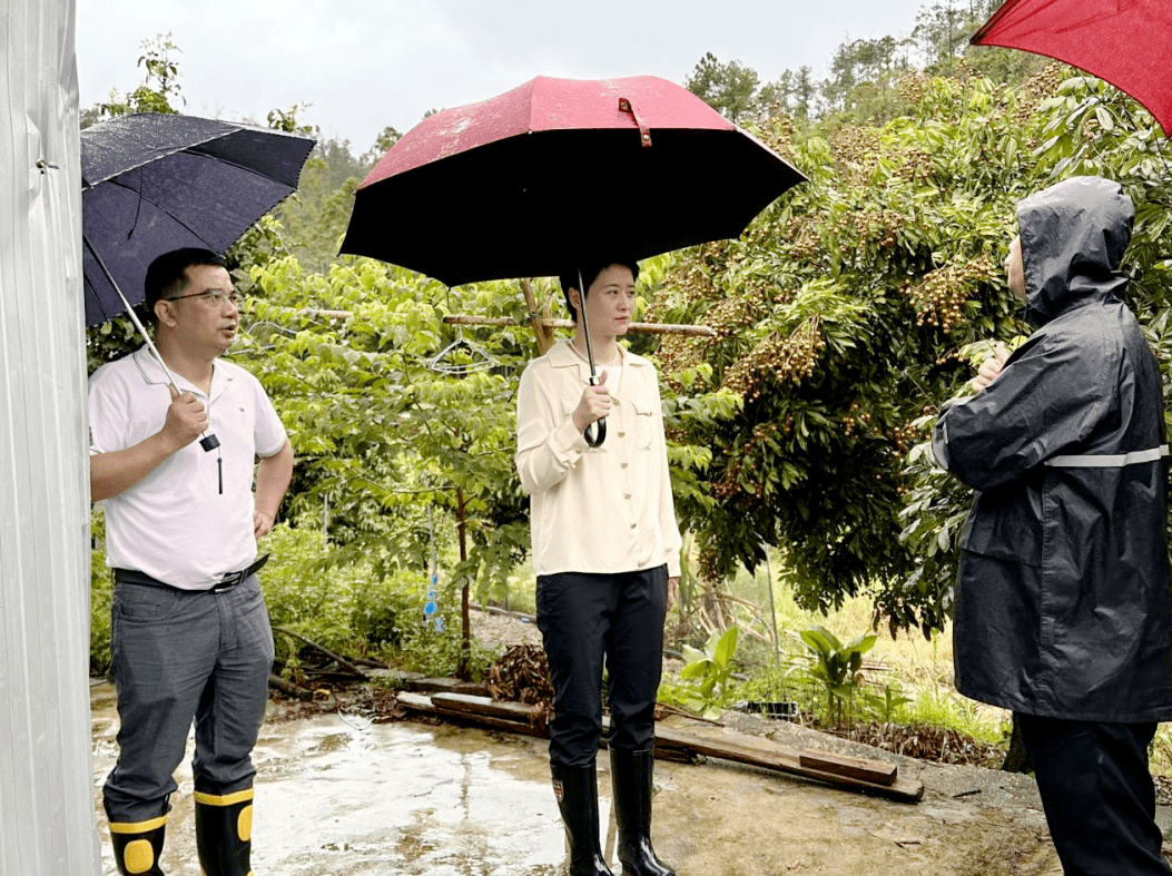 7月17日上午,党工委副书记,办事处主任张乔楚,党工委委员,办事处副