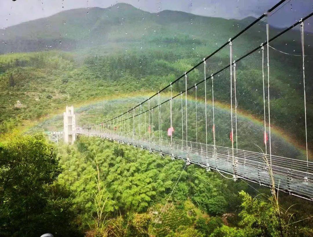 黄山天湖7d幻景玻璃桥横于两山之间,悬于青翠竹海之上,全长达288米,最