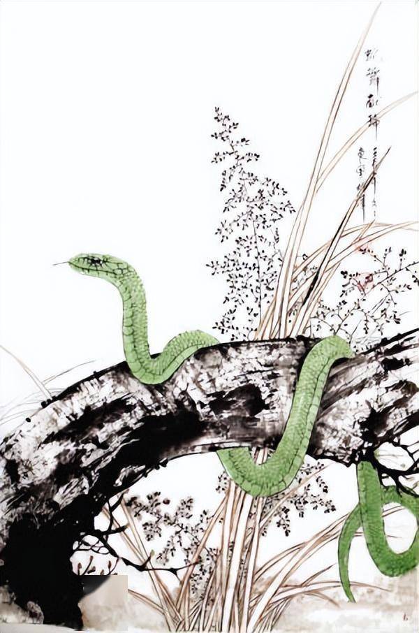 这也就代表着:在8月,生肖蛇的"懈怠,彷徨,无所适从"到此为止!