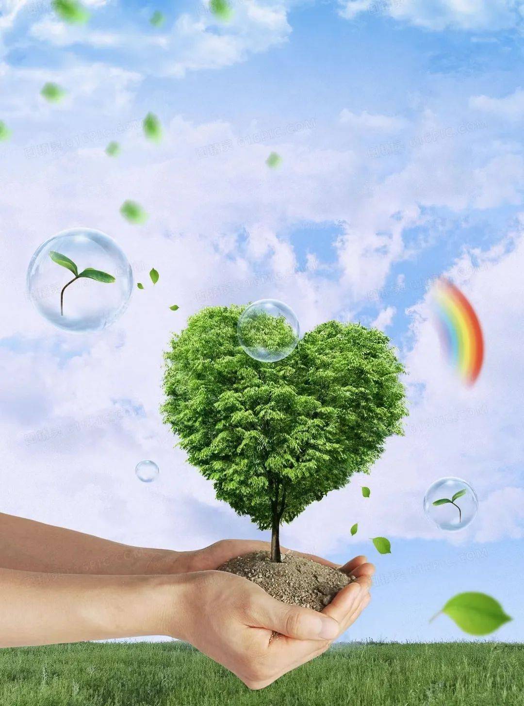 关注学生心理健康,呵护学生心灵成长——高新区杨梧贾小学学生心理