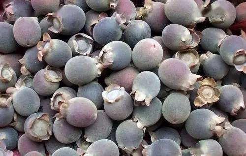 饭头督(风流果)紫林子石光子剥壳藤子龙葵火炭母看完点个91或【在看