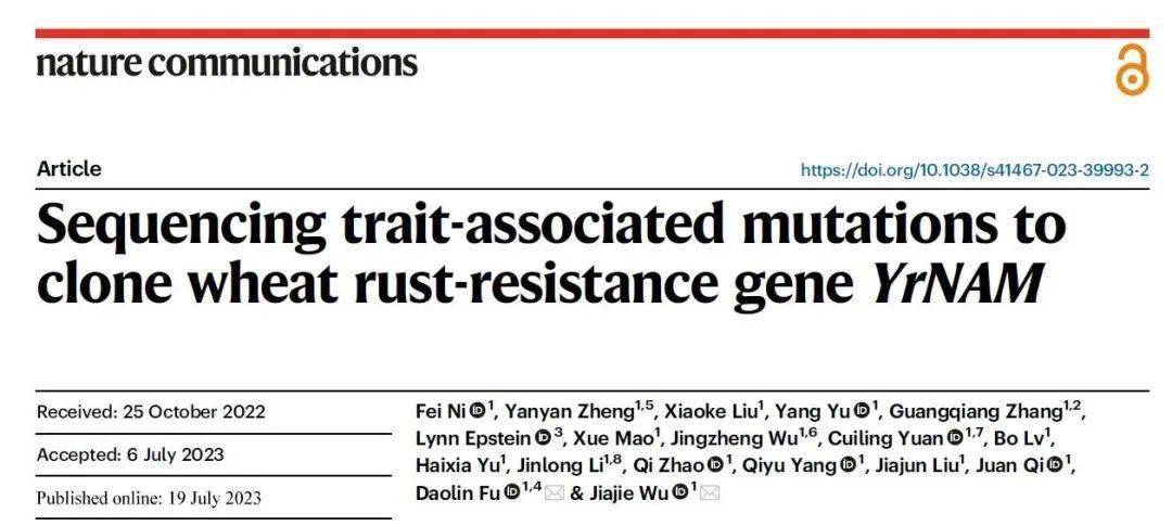 《自然·通讯》发表山东农大最新成果_小麦_基因_克隆