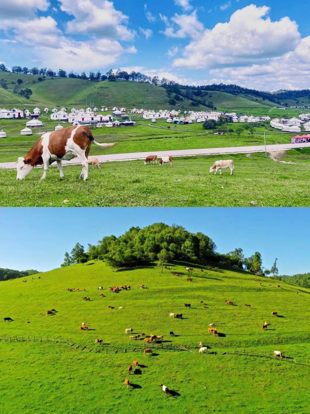 高海拔避暑胜地夏季平均气温25℃关山草原海拔最高达2200多米昼夜温差