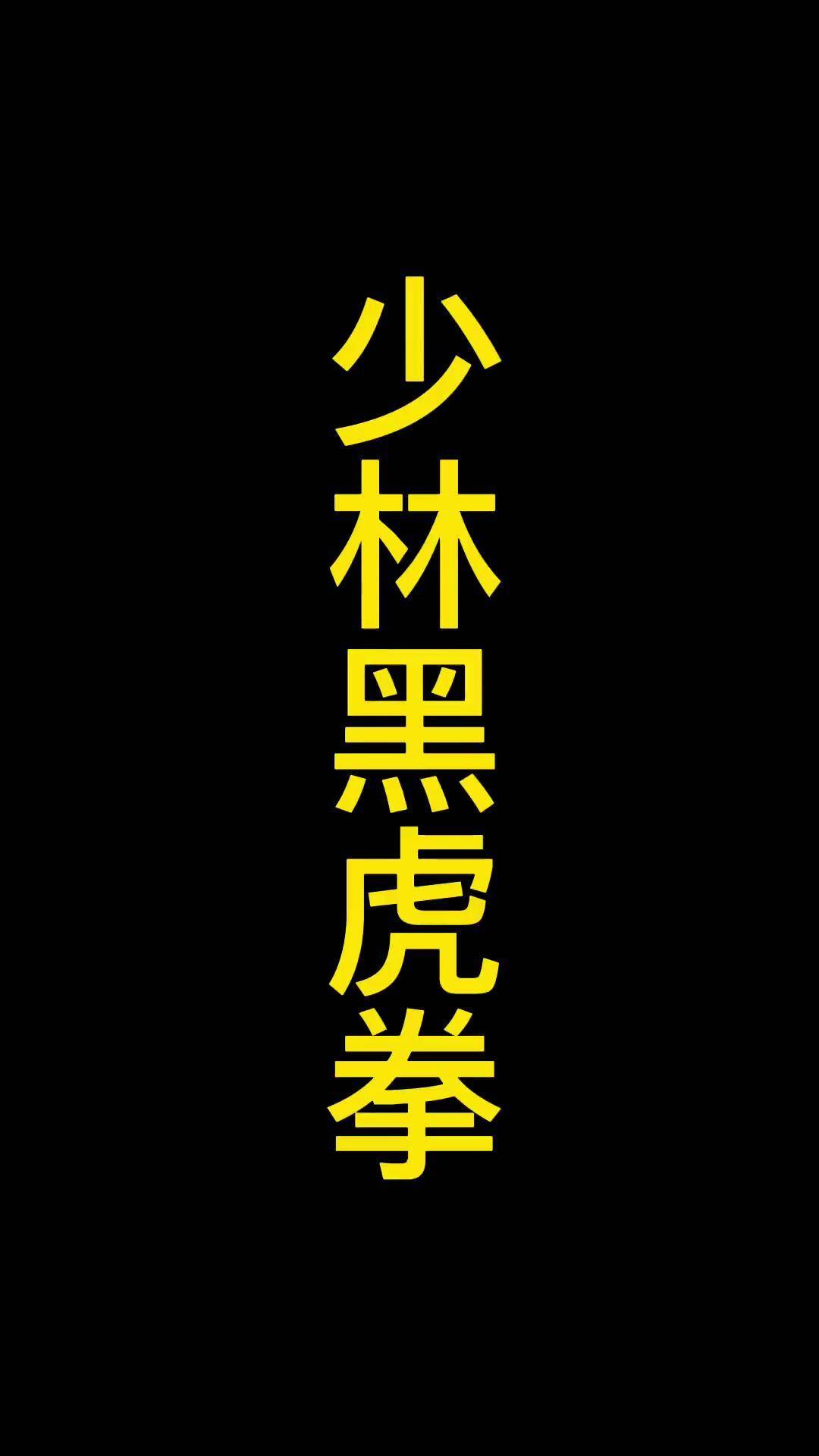 少林黑虎拳