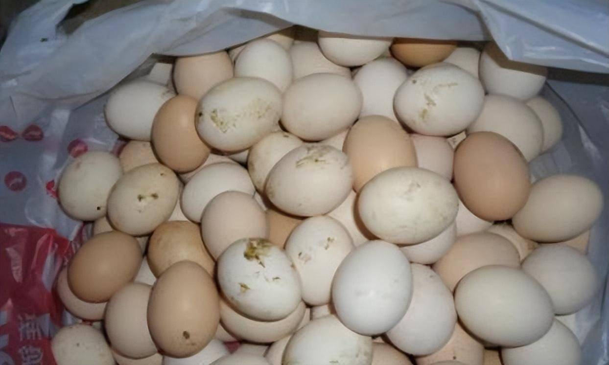 鸡蛋坏蛋微信表情图片图片