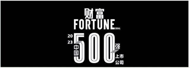 上市公司排行_2023年《财富》中国上市公司500强排行榜揭晓多家有色企业上榜-中...