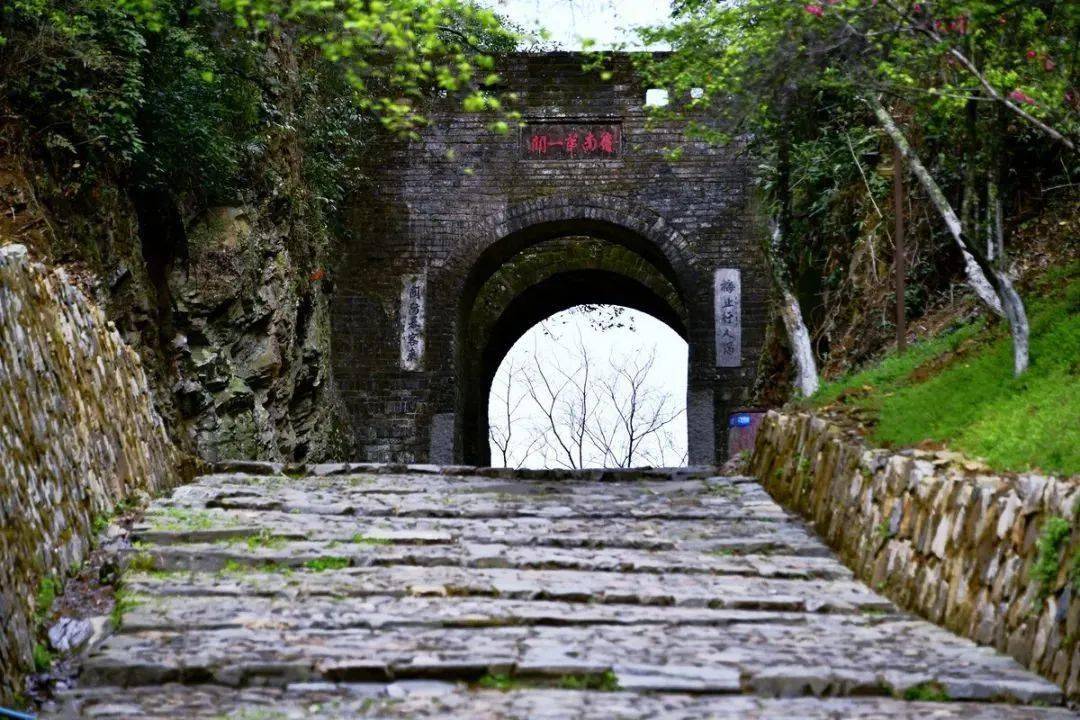 梅岭村_张九龄_后人