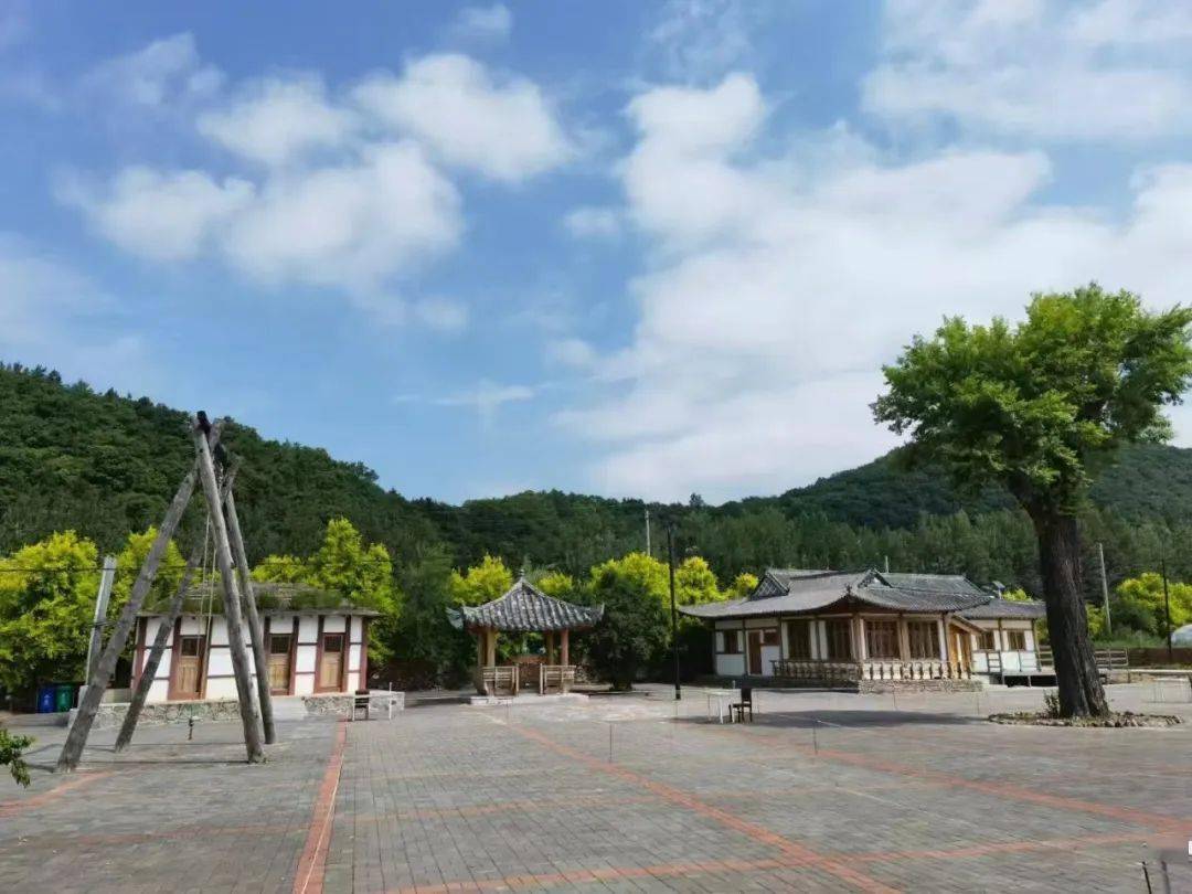 水南村_图们_山村