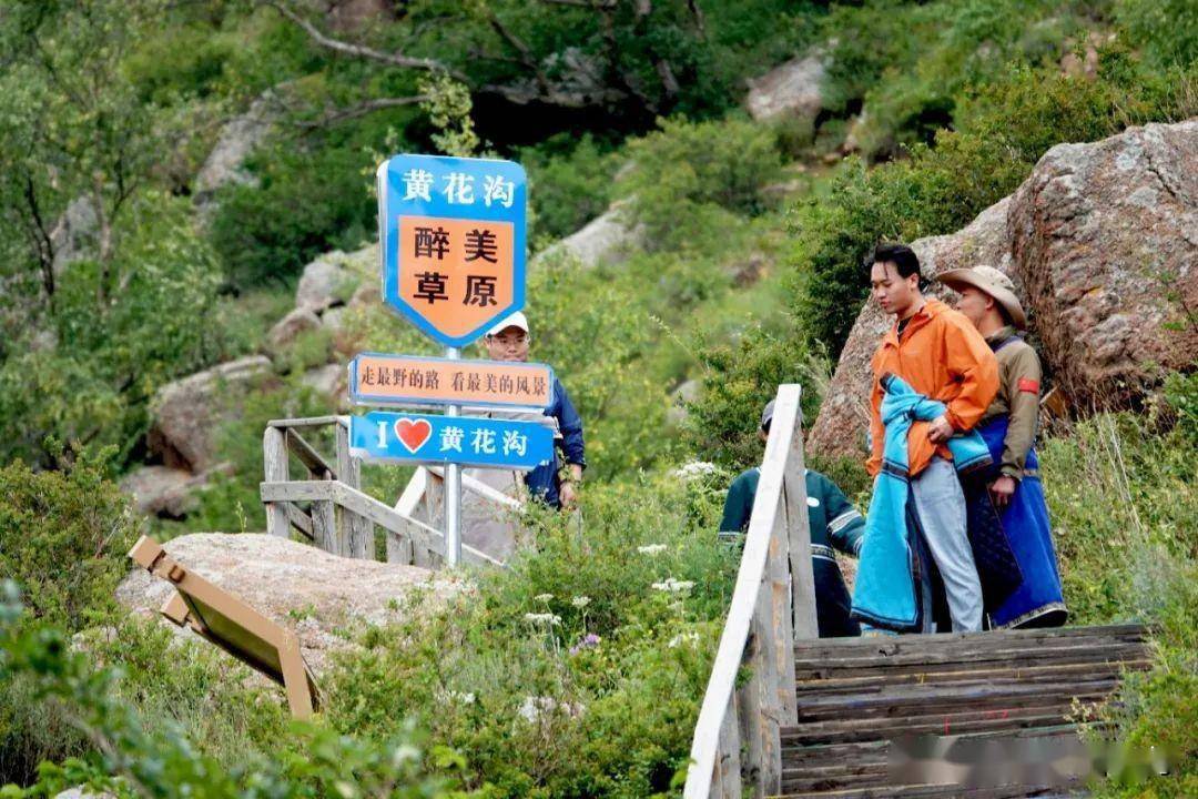 小火車西站-黃花溝鮮花草原黃花溝鮮花草原網紅打卡點千年白樺林-牛旦