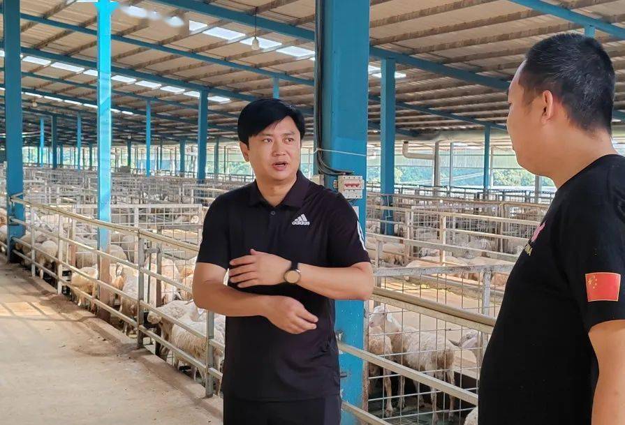 大兴调查研究│罗爱平到竹塘乡富邦乡雪林乡调研_养殖_相关_澜沧县