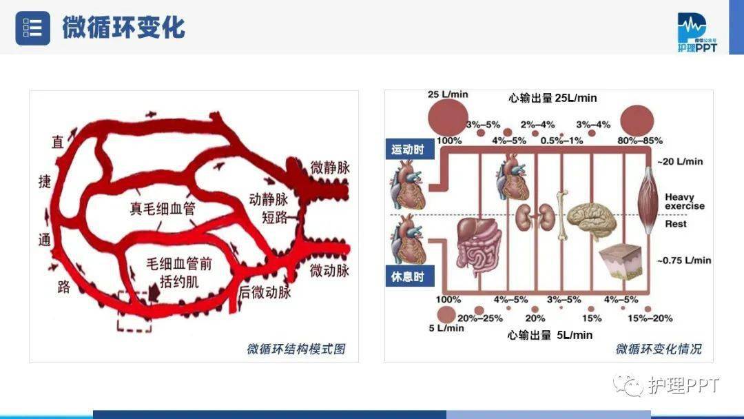 【PPT】低血容量休克护理业务学习_微信_直播_视频