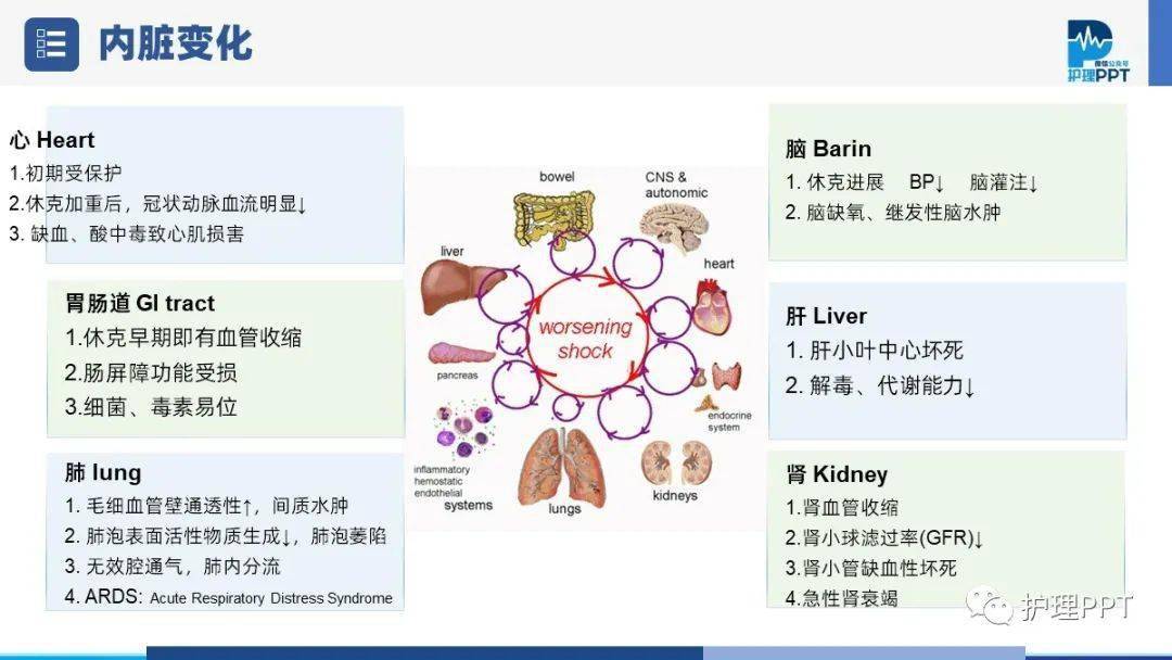 【PPT】低血容量休克护理业务学习_微信_直播_视频