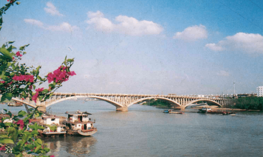 90年代的石龙地标,你还记得吗?_体育馆_大桥_企业
