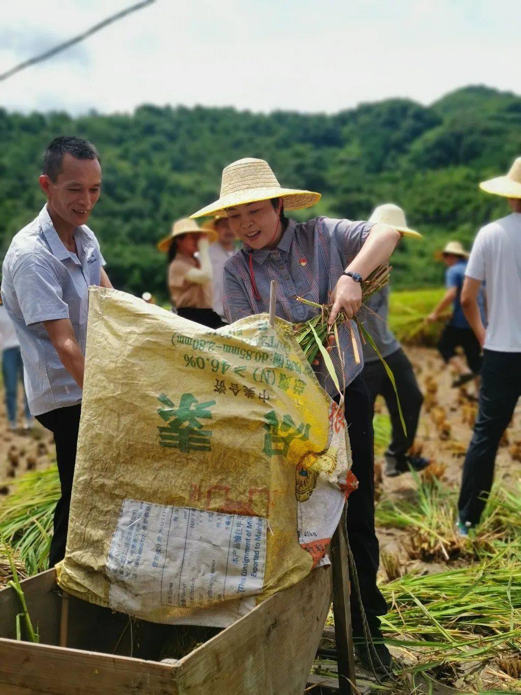 当天,市教育局党员干部还前往安溪梧桐中学调研,详细了解学校办学情况