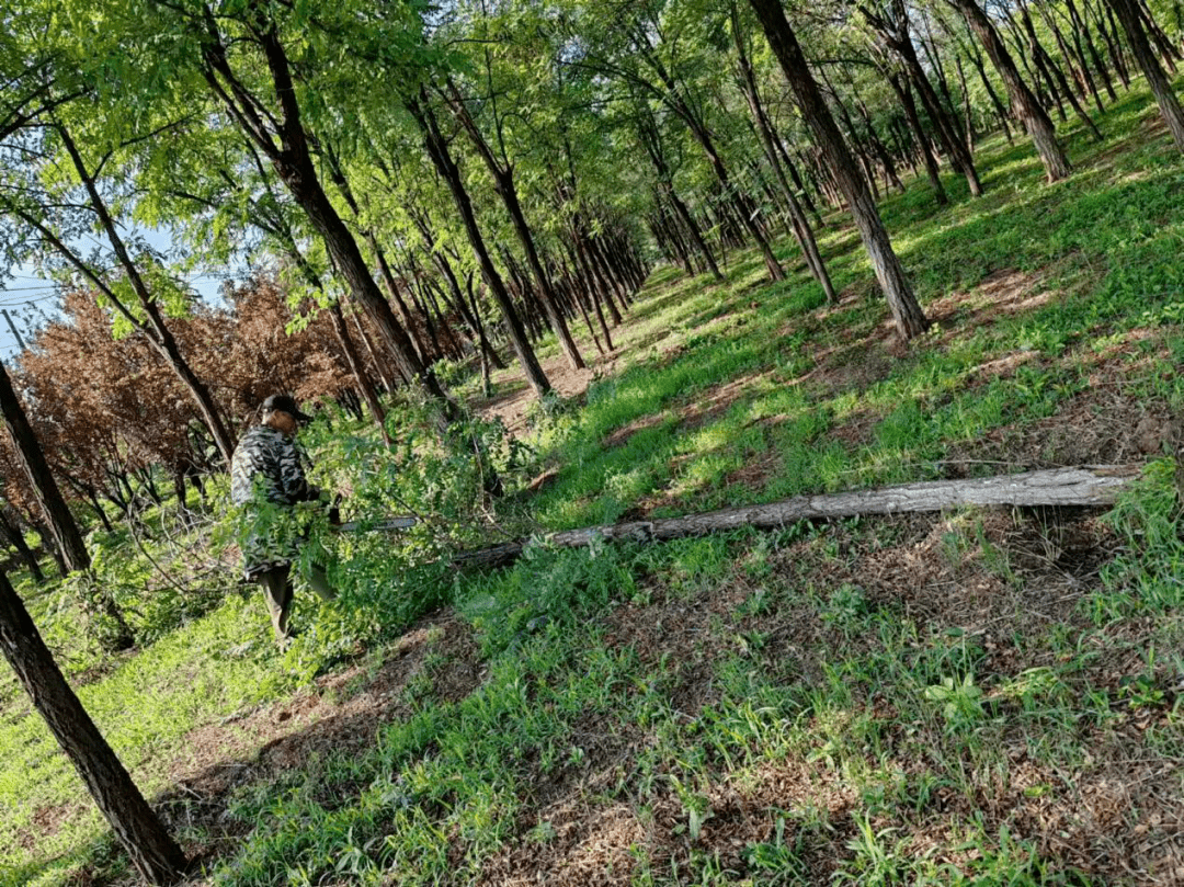 東馬各莊村,北王路村調動人員力量清理倒伐樹木.謝謝你們每一位守護