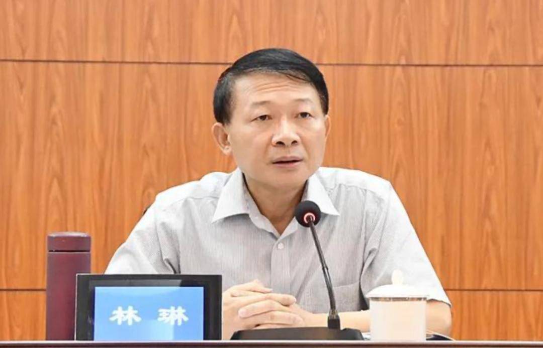 全国扫黑除恶督导出现这一情况_林琳_特派_工作