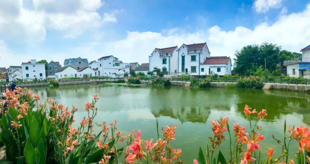 【文明村镇创建巡礼】当涂县大陇镇:文化惠民以文兴业_群众_服务_活动