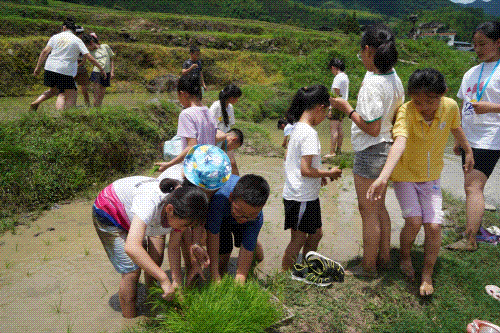福田与连山两地青少年结对研学_太保镇_志愿_服务