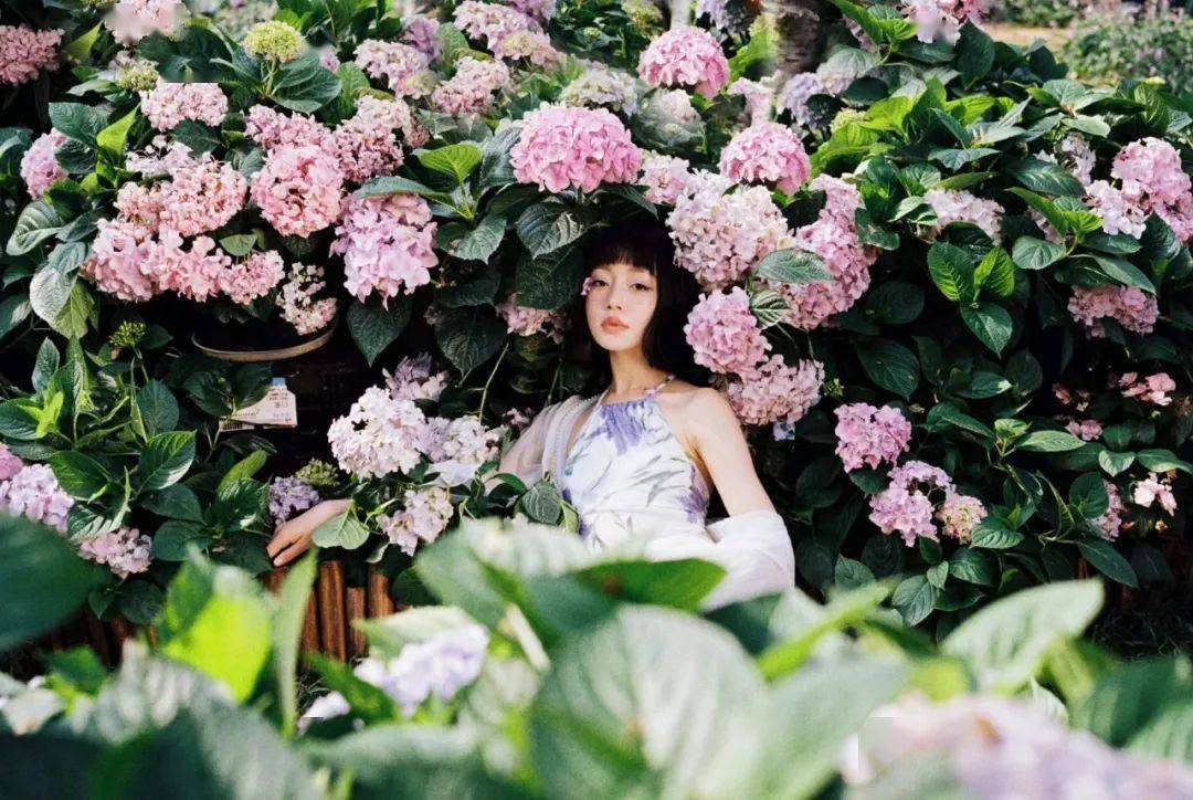 这些摄影师,太会拍花与女孩了!_ins__baa__dasol