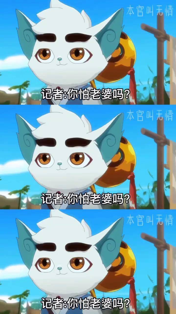 京剧猫中墨兰和白糖黄图片