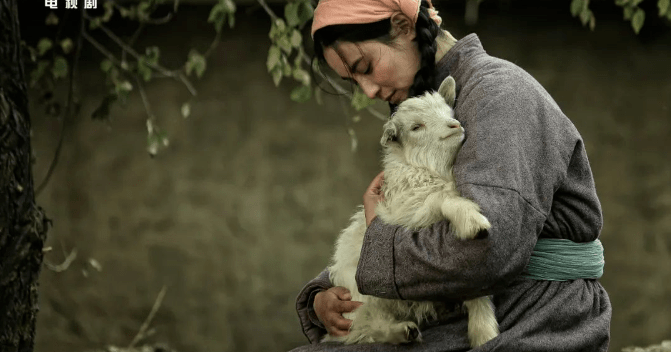 刘涛_草原_保剑锋