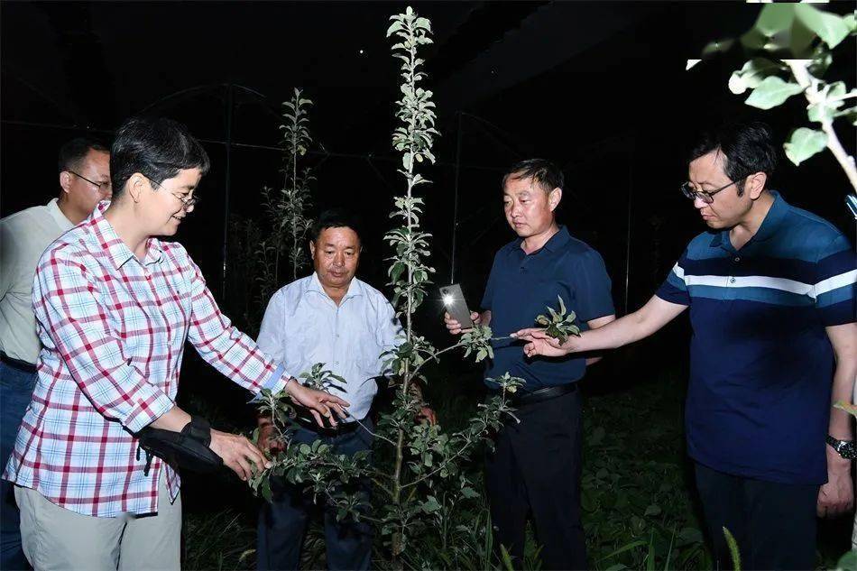 麦积区融媒体中心讯(特约记者 窦耀辉 实习记者 窦艺)当前正值夏季