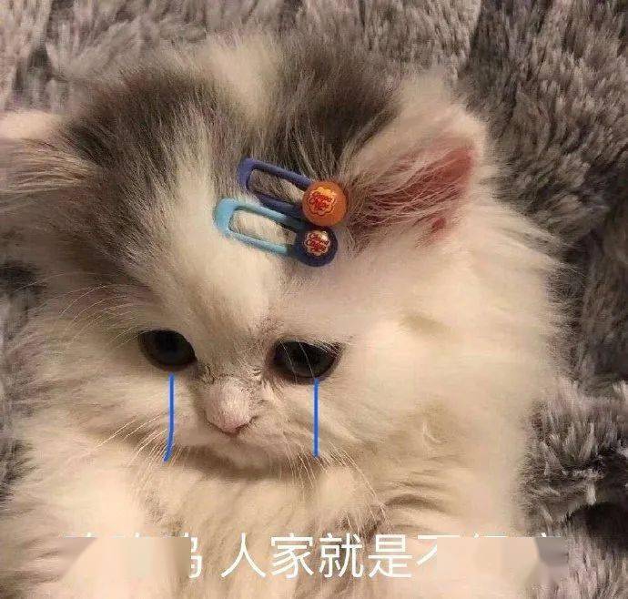 超有趣的表情包:肾虚崽崽要凶我了_公众_il_因为