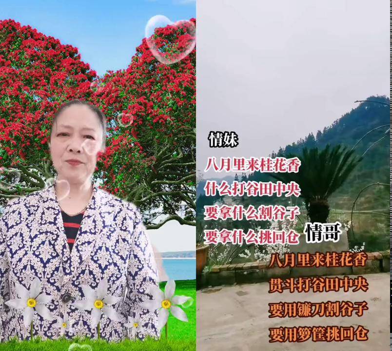 谷合拍摄影教程，技巧大全