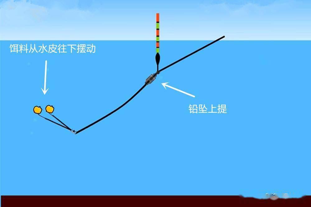 蓝刀鱼最佳钓法图片