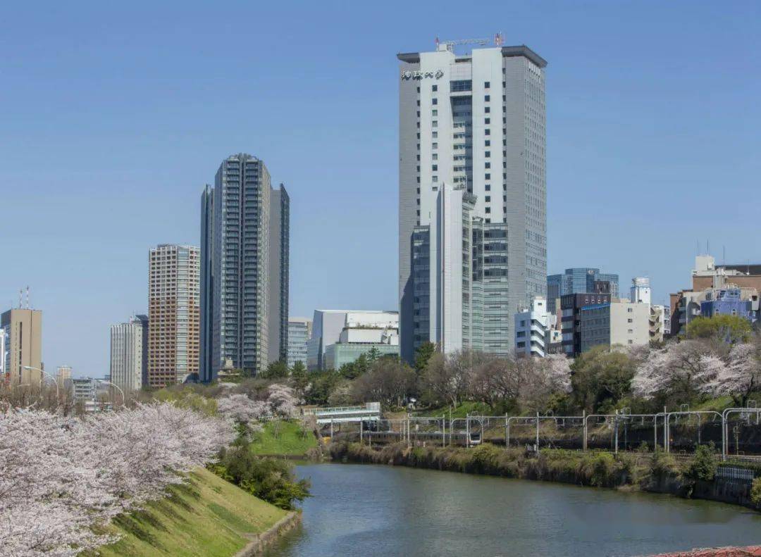 上海大学东京校讲师/法政大学国际日本学研究所研究员珺珺老师为大家