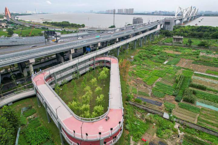 不用排队等电梯上桥了!杭州九堡大桥慢行交通系统投用