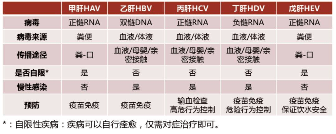 肝炎系列检测