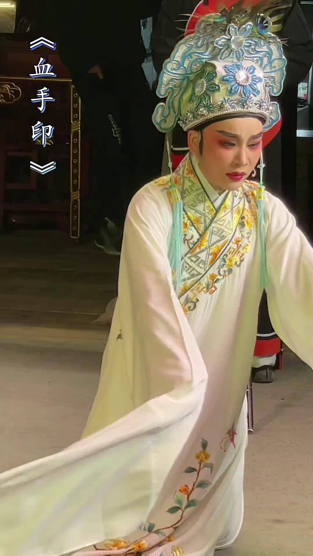 越剧《血手印》林王两家本有亲越剧小生熊莲芬 台州椒江越艺越剧团