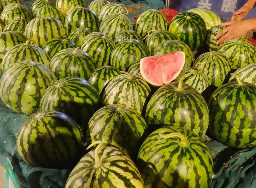 洛宁"吃瓜群众"注意了!_西瓜_张利军_小界乡