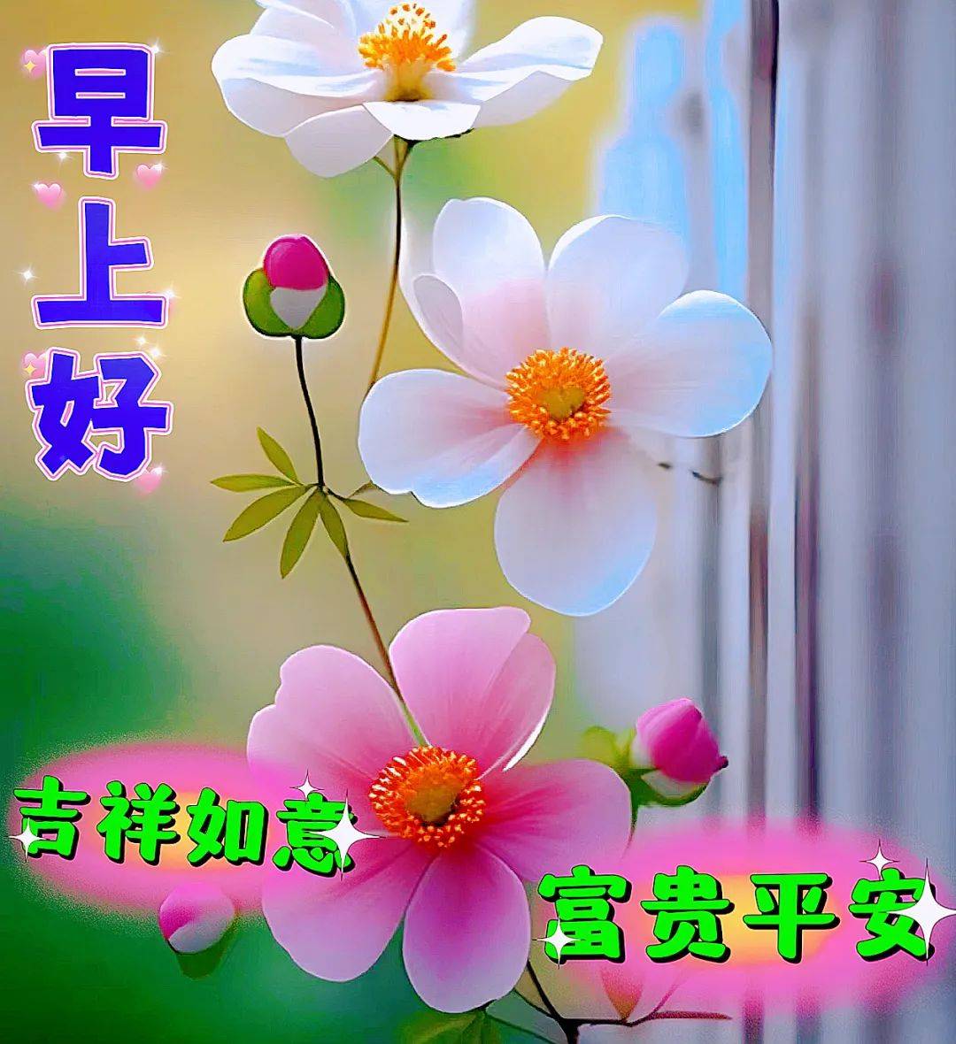 新版非常好看的早安图片大全,祝福是心意,问候是诚意!_心情_朋友_好运