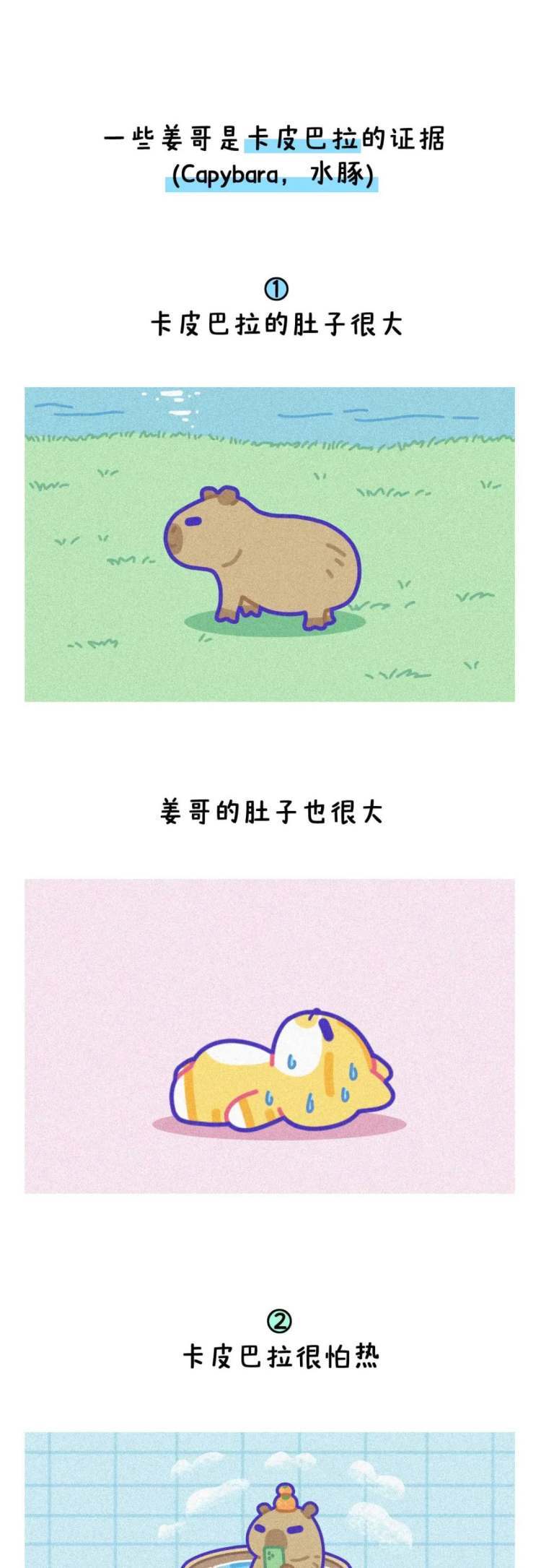 桑巴舞