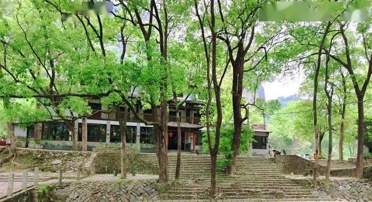 【无晴听风】楠溪江香樟园 | 夏日里的多巴胺玩水圣地_花园_树林_人群