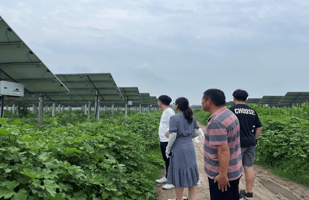 在河南永城市,实践团对永城市双桥镇,龙岗镇,刘河镇等3个乡镇10个村10