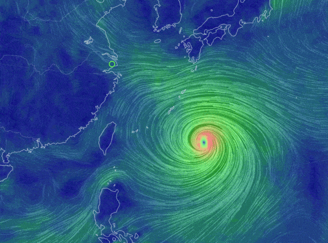 "大风 阵雨"仍是近日主旋律,静安积极做好抢险准备工作,静宝带你直击