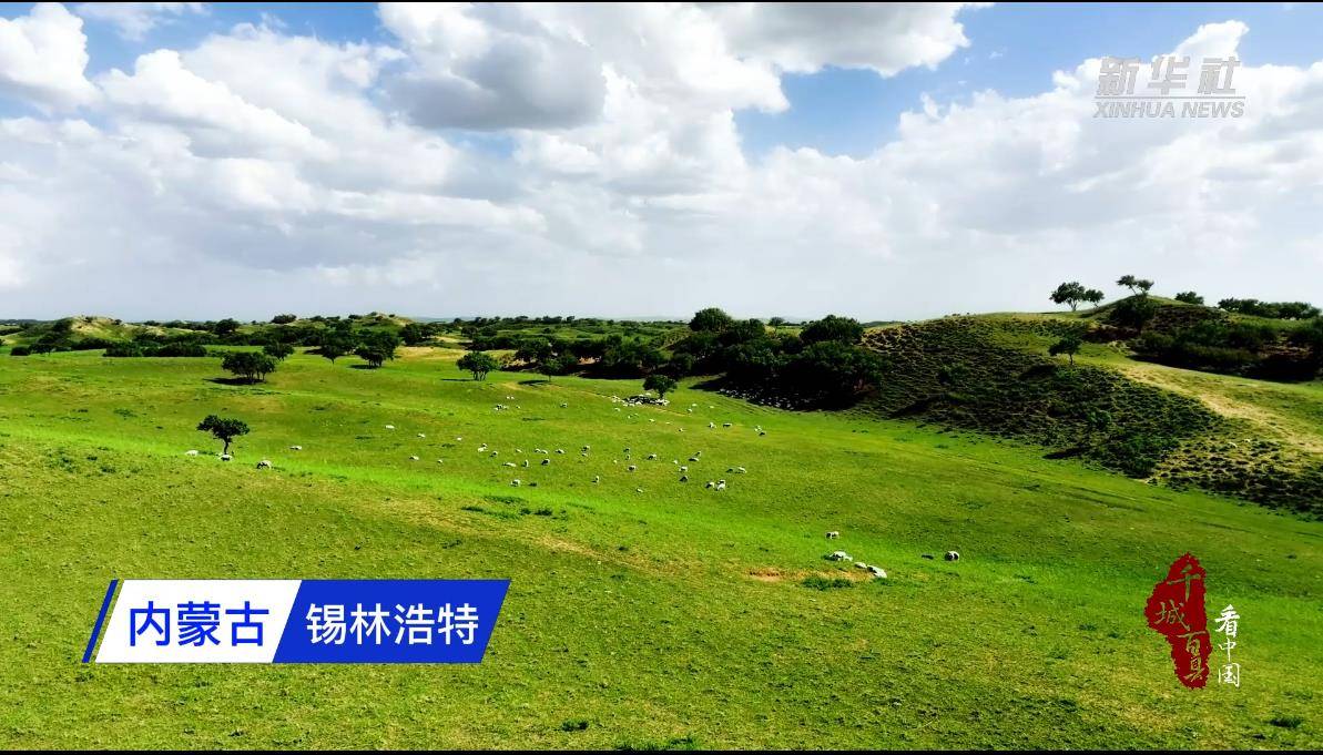 千城百县看中国|内蒙古锡林浩特:畅游草原 最美骑行_马宝军_时间_新华