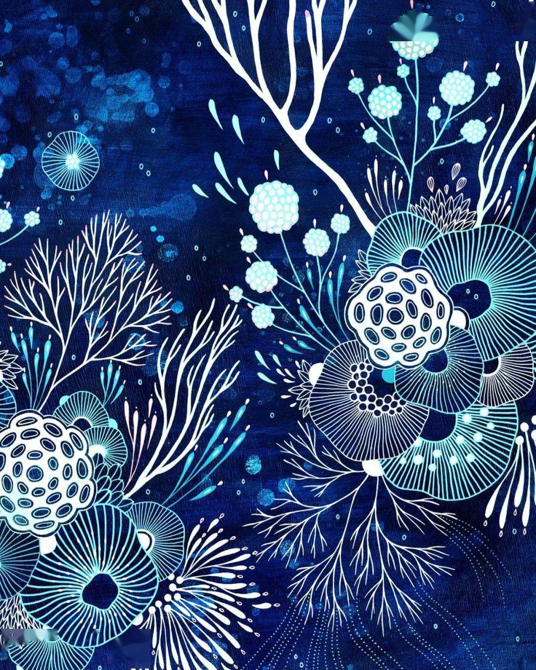 在成为全职的插画师后yellena james就开始了这些千变万化生物形态