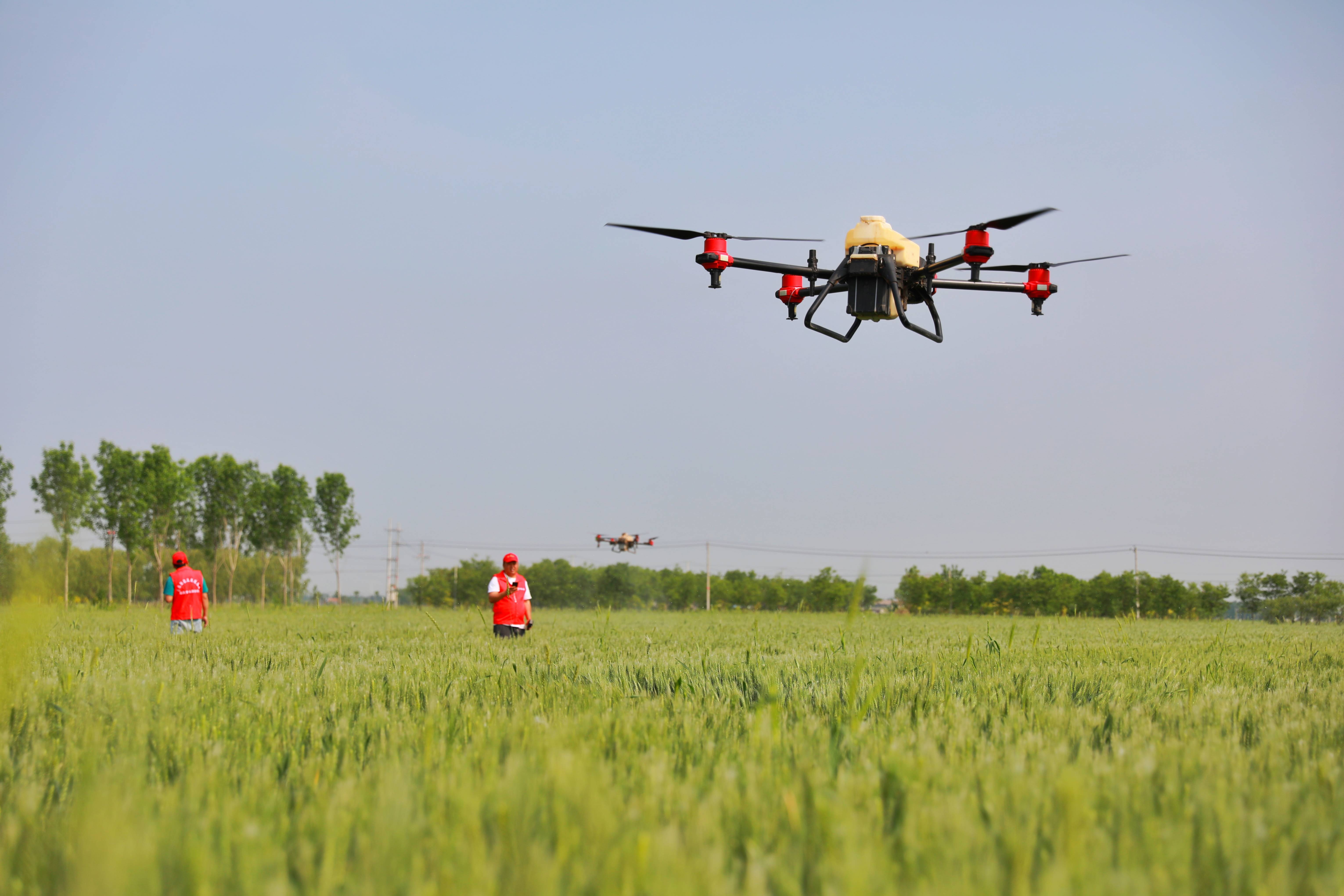 新华社记者贾云鹏 摄种粮能挣钱,粮食更安全.