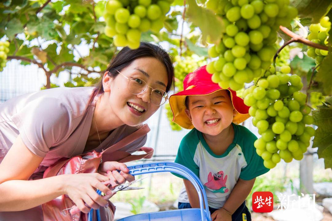 亚新体育2023大美盘城摄影大赛启动 快来金陵葡萄小镇拍美景吧！(图1)