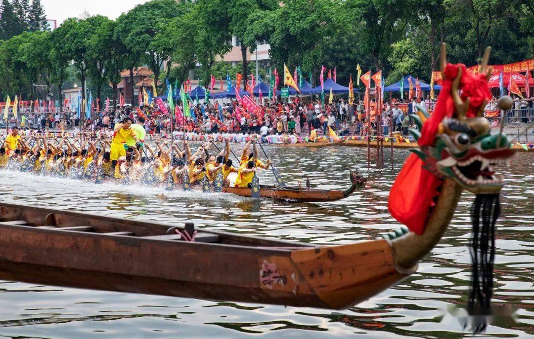 (金利)传统龙舟大赛摄影大赛颁奖仪式暨摄影作品展举行_佳作奖_比赛