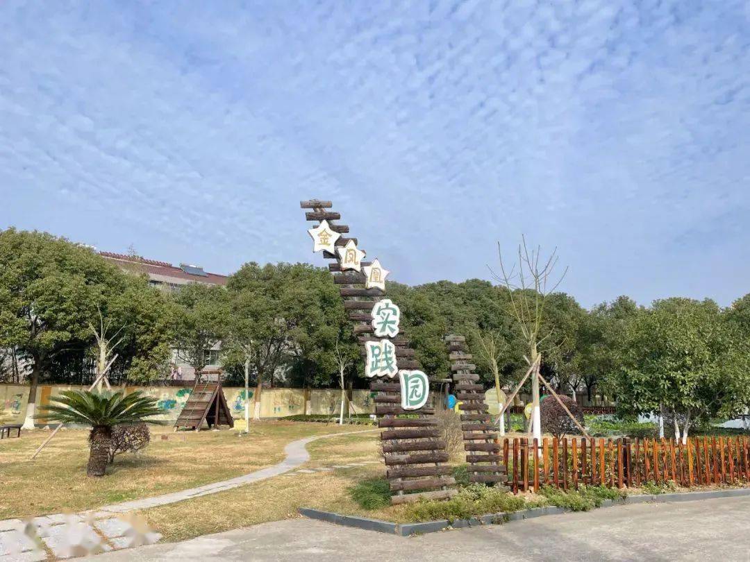 文明校园创建98丨桐乡市凤鸣天女中心小学:文明底色厚植校园,和美