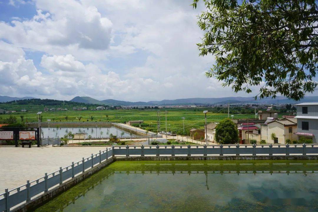 云南驿镇:"院坝会"绘出绿美新画卷_群众_建设_图文