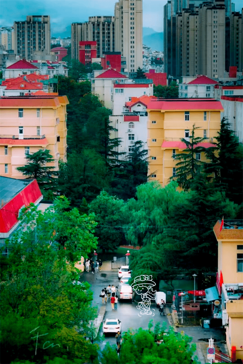 青大夏日壁纸,心动一"夏"!_研究_夏天_校园
