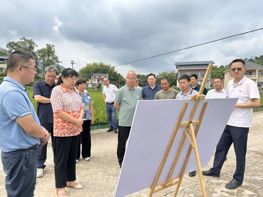 8月2日,大足区政协提案督查组先后走进铁山镇,石马镇,拾万镇等地,对三