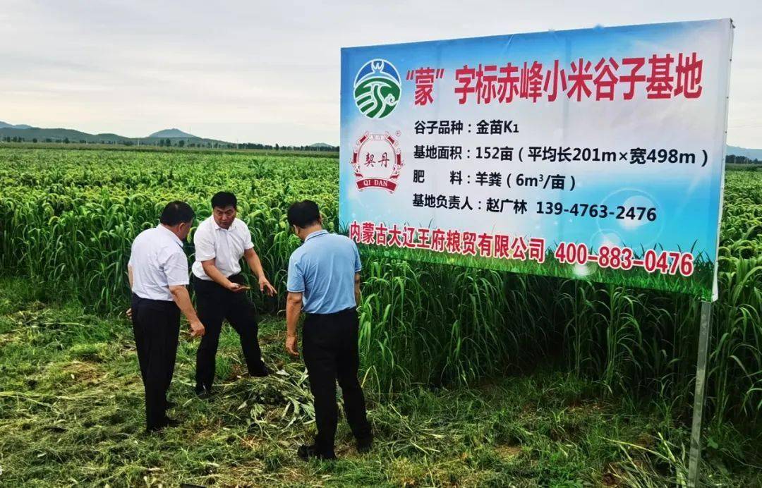 【调研】自治区市场监管局深入巴林左旗开展"蒙"字标